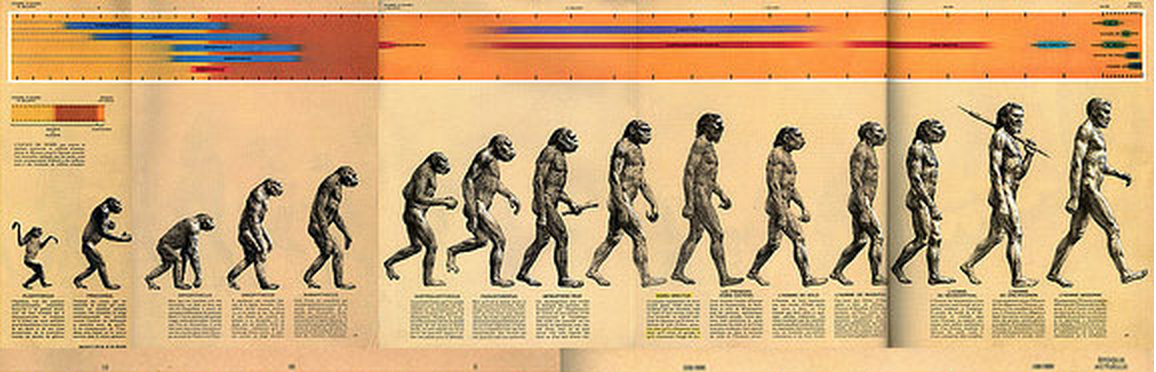 evolutia-omului-nu-e-liniara-imagine-originala