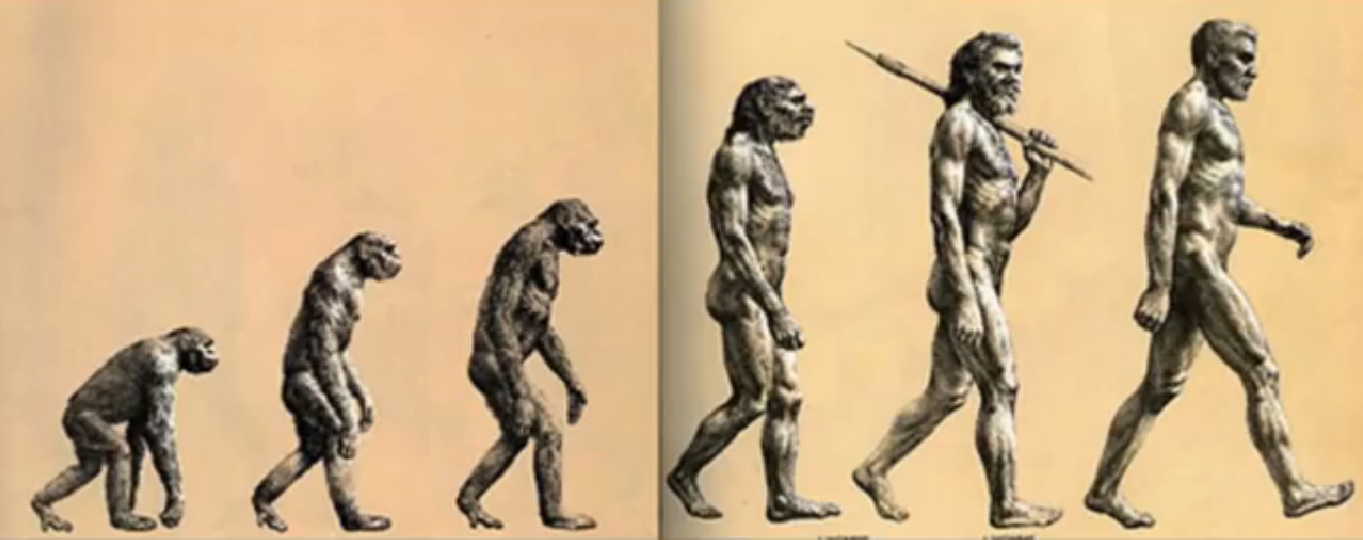 evolutia-omului-nu-este-liniara-imagine-falsa